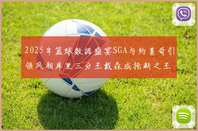 2025年篮球数据盛宴SGA与约基奇引领风潮库里三分王戴森成抢断之王