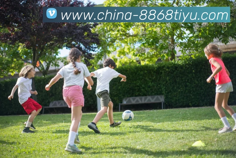 8868体育APP 高清赛事图